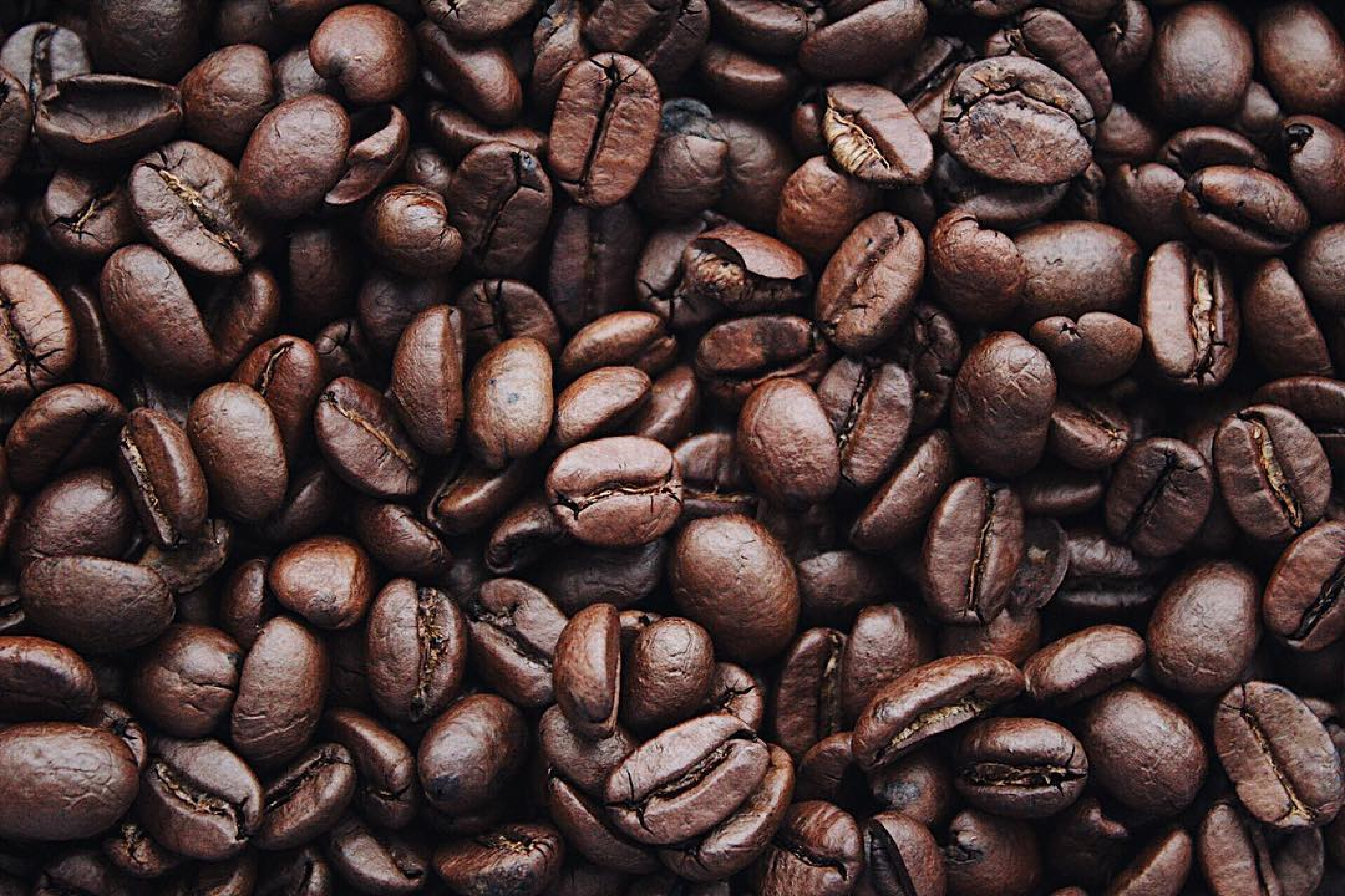 Coffee Pex 1695052