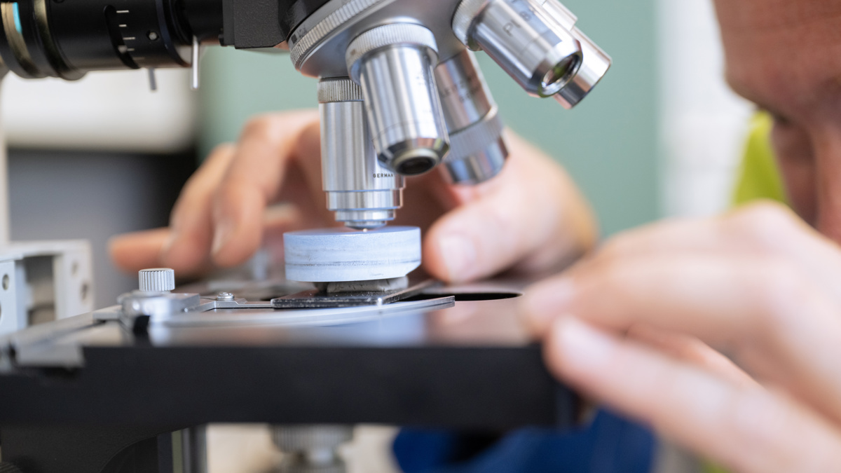 RoHS (Restriction of Hazardous Substances) directive